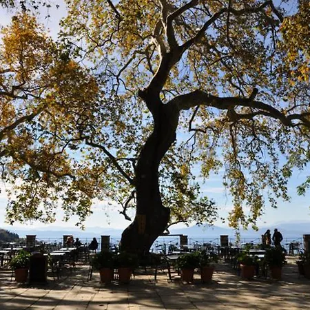 Σπίτι διακοπών Art Mansion In *